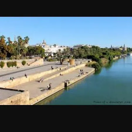 Sweet Triana
