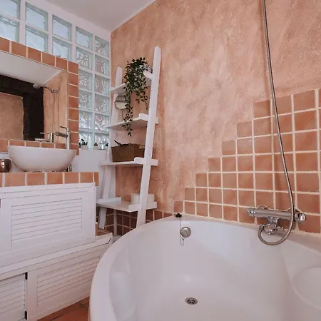 Apartment Cozy Attic With Terrace- 1bd 1bth- San Vicente Seville