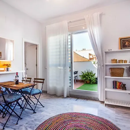 Apartment Encantador Atico Con Terraza *