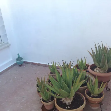 Casa Soleada En Calle Tranquila