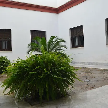 Apartment Teodosio