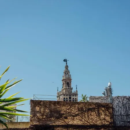 Appartement Cse Pajaritos *