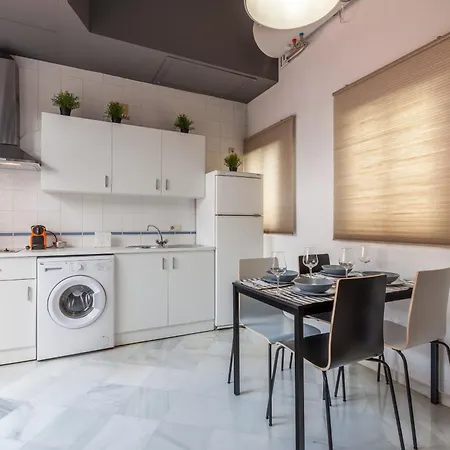 Apartment Isbilya Centro Duque Seville