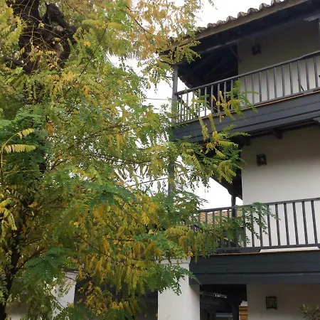 Andalusian Courtyard *