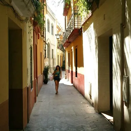 Archeros Oasis *
