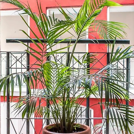 Apartment Conde Ibarra