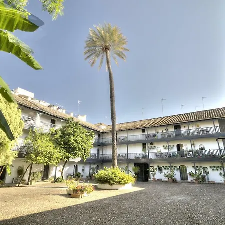 Un Oasis En El Corazon De Apartment