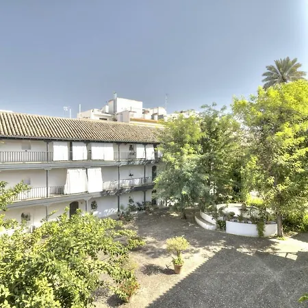 Un Oasis En El Corazon De Apartment