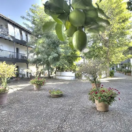 Un Oasis En El Corazon De Apartment Seville