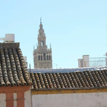 Apartamento San Isidoro, 5