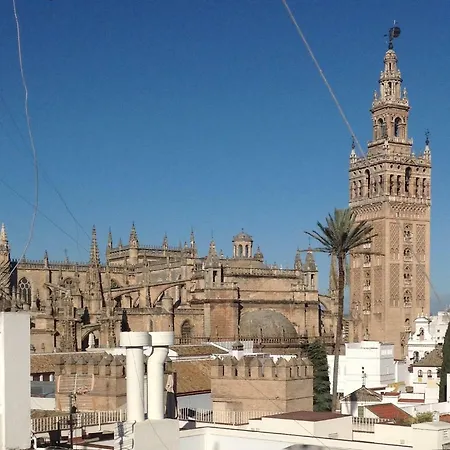 Elvira, Exclusive Pool And Gardens In The Heart Of Sevilla