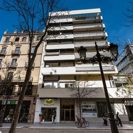 Loft Campana Ii Donkey Apartamento