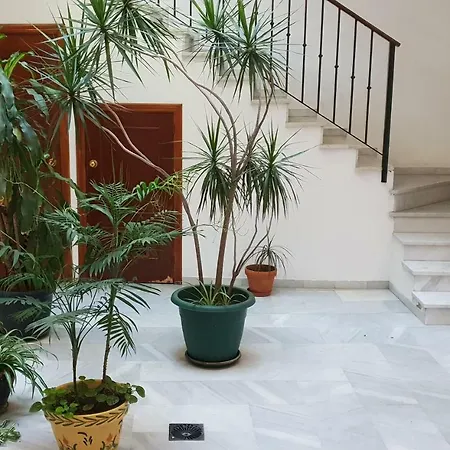 Hispalis Jardines De Murillo