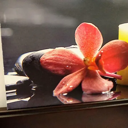 Wish-suite Pureza De Triana Apartment Seville
