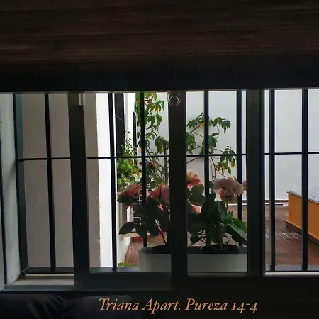 Triana Pureza 12-14