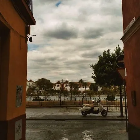 Triana Pureza 12-14 Seville