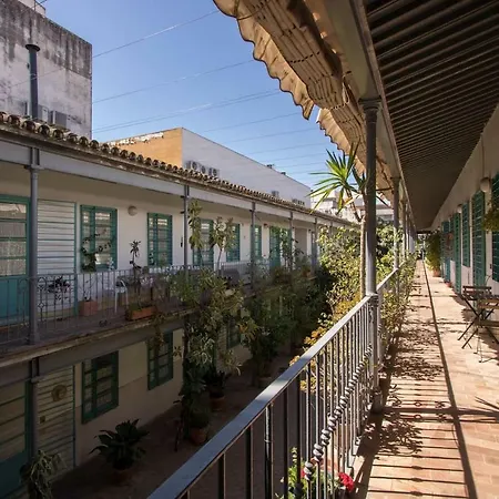 Corral Casa Grande Oasis * Seville