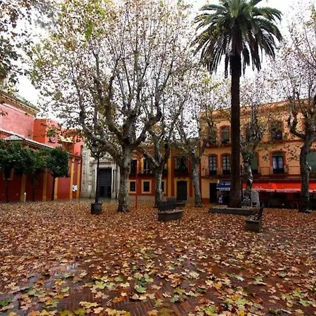 A2 Centro Pgb - Museo- Gran Poder -alameda * Seville