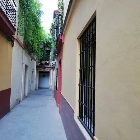 En La Juderia De * Seville