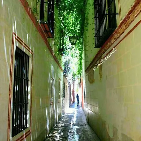 Dom wakacyjny Casa Flores