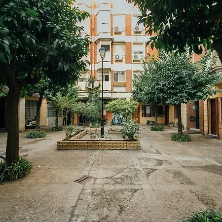 Wide And Diaphanous- 3bd 2bth- Alcazar Seville
