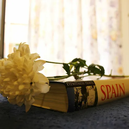Hotel Lisdos Siviglia