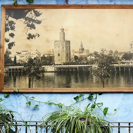Lisdos Siviglia