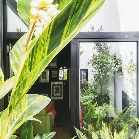 Holiday home Arte Y Descanso En Seville