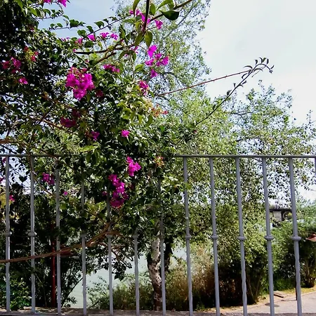Misterhost Triana Patio De Flores Apartment