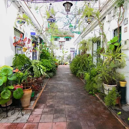 Misterhost Triana Patio De Flores *