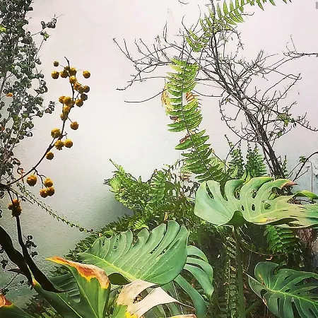 Arte Y Descanso En Casa vacanze