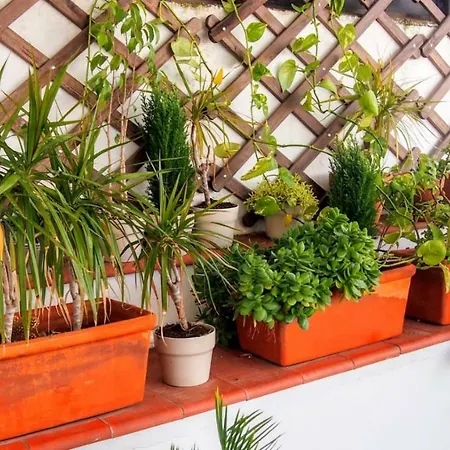 Apartamento Terraza Asuncion *