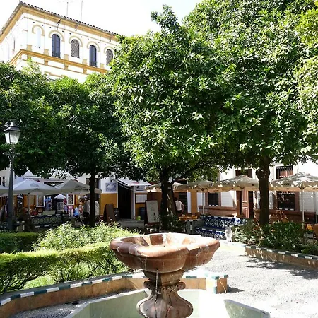 Luxury Penuelas Free Parking * Seville