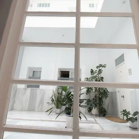 Centro San Luis Apartment