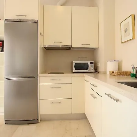 Apartment Centro San Luis *