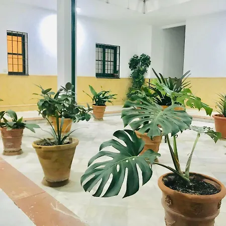 Patios De La Juderia