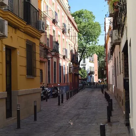 Pnp17 Pe Seville