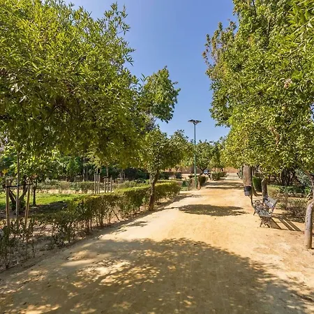 Apartment Veronica City Center Oasis Seville