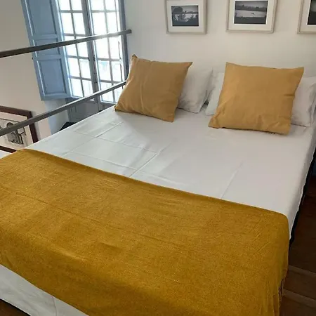 With Access To Rooftop Terrace *