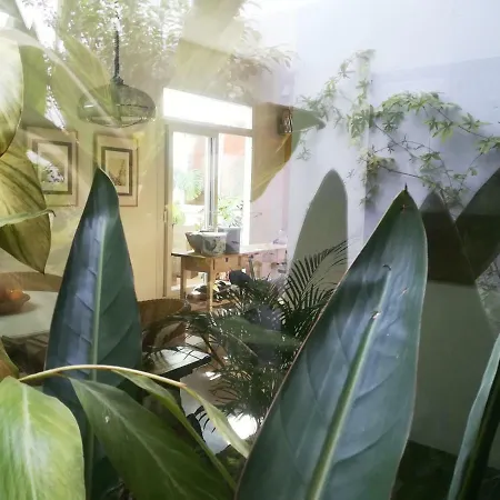 Arte Y Descanso En Seville