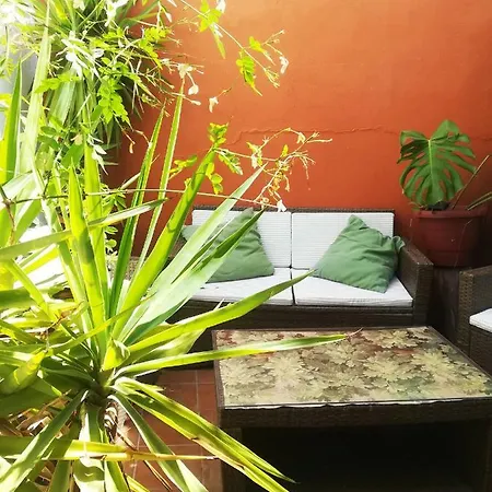 Arte Y Descanso En Seville