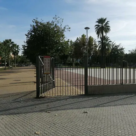 Sol *