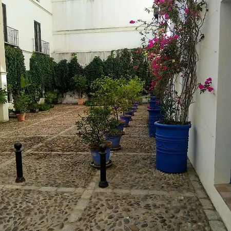 Wish Juderia De * Seville