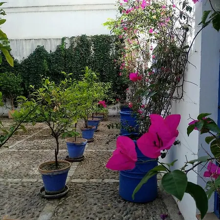 Wish Juderia De Apartamento