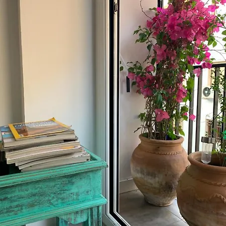 Puerta Carmona Apartment
