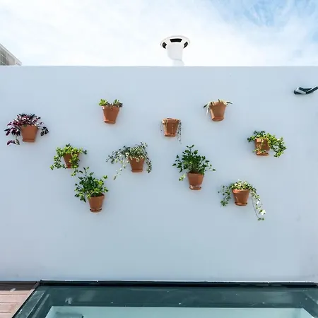 Unique House - Private Spa&pool -stayinseville