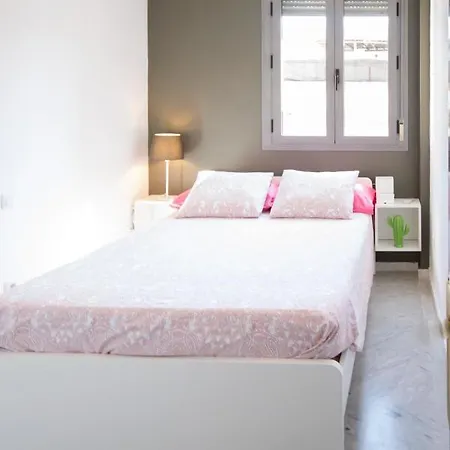 Apt Calle Froilan De La Serna