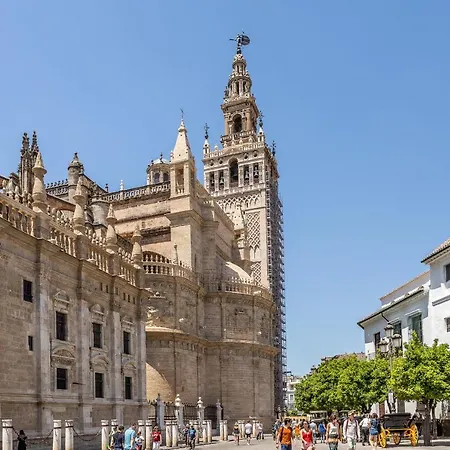 Waou Cosy I Cathedral Seville