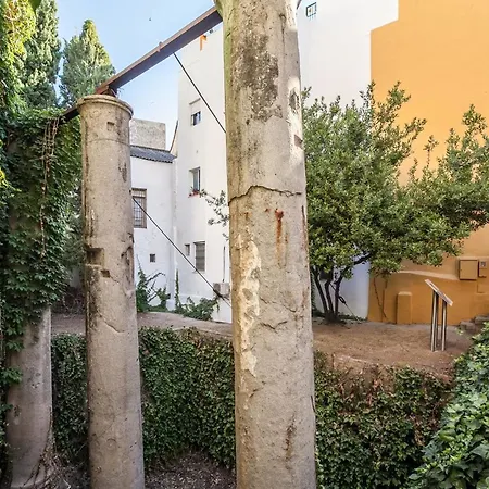 House With 2 Bedrooms In Sevilla, With Enclosed Garden And Wifi - 80 K Apartment *
