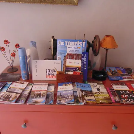 Apartamento Fernando Seville
